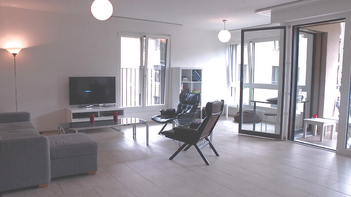 3½ room apartment in Basel - Gellert/St. Alban, furnished