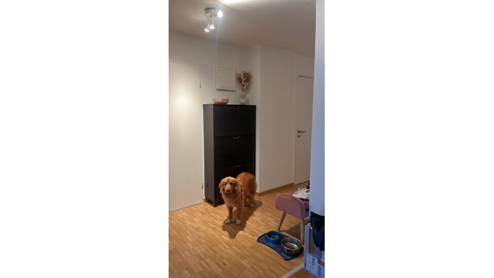 Picture 5