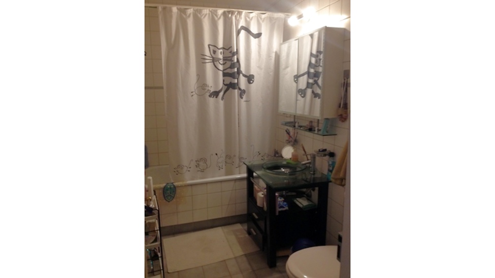 Picture 8
