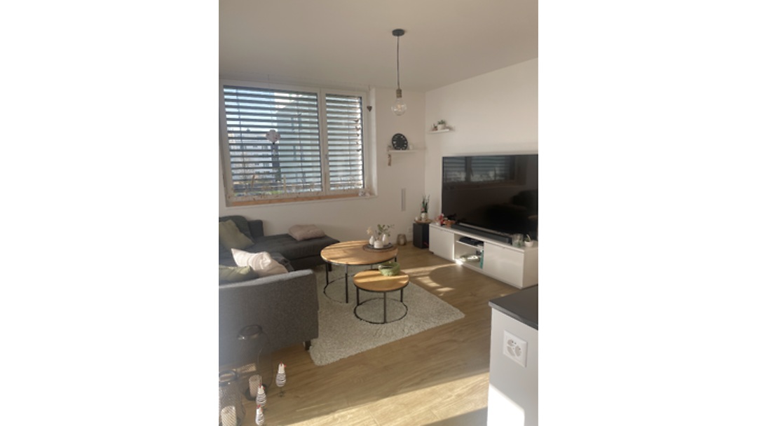 4½ Zimmer-Wohnung in Wil (SG), möbliert, auf Zeit
