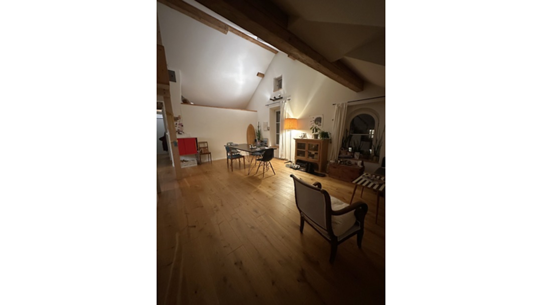 3½ room attic apartment in Bern - Breitenrain, furnished, temporary