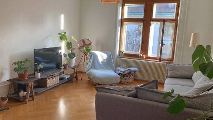 Appartement 4 pièces à Basel - Matthäus, meublé, durée déterminée