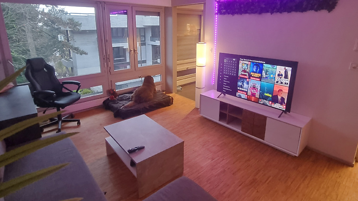 Studio à Zürich - Kreis 10 Höngg, meublé, durée déterminée