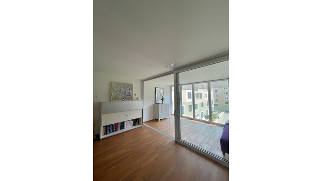 3½ room apartment in Luzern, furnished, temporary