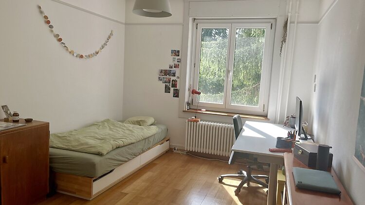 Picture 4