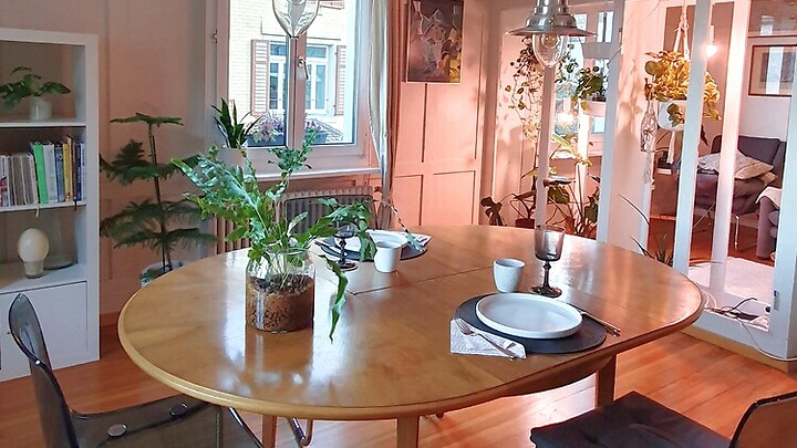 Appartement 3½ pièces à Wädenswil (ZH), meublé, durée déterminée