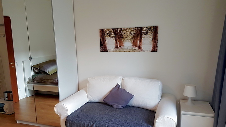 1 room apartment in Basel - Spalen, furnished