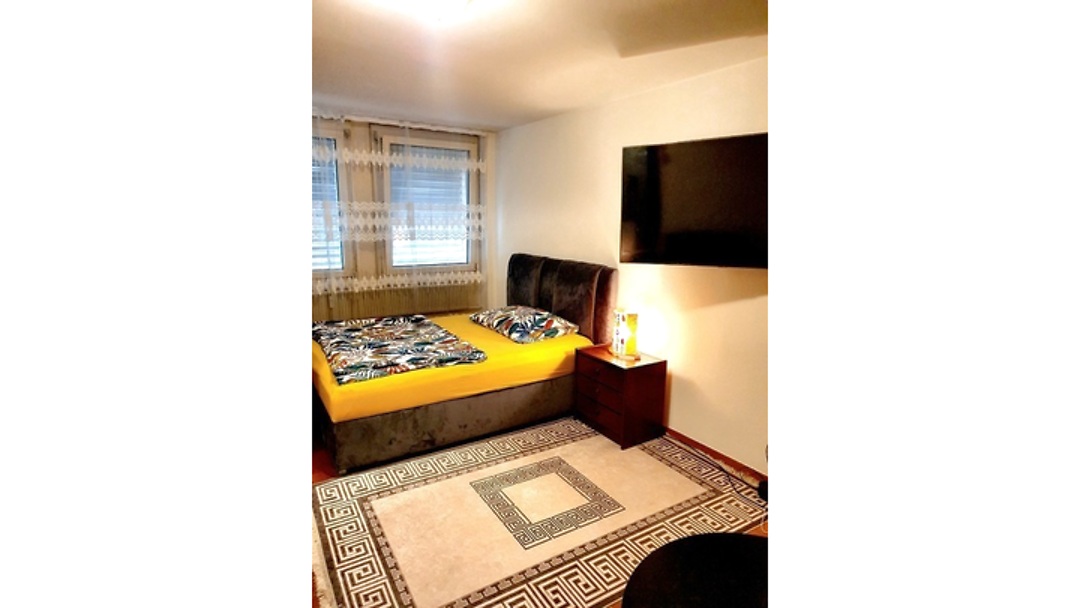 Appartement 1 pièce à Basel - Iselin, meublé, durée déterminée
