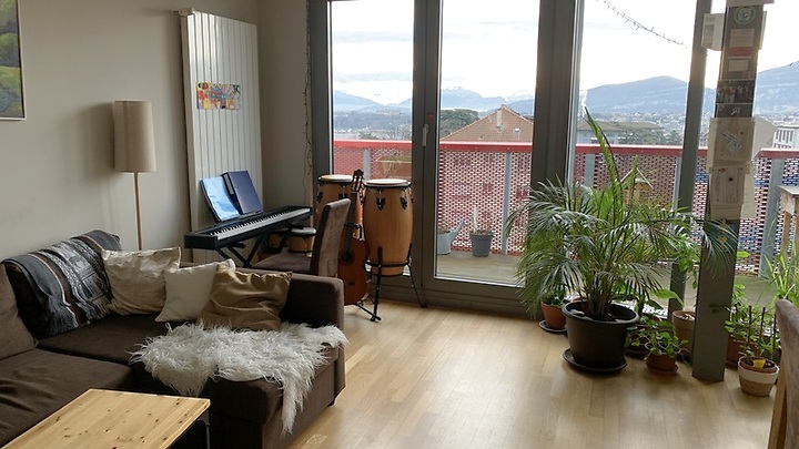 5 room apartment in Genève - Pâquis/Nations, furnished, temporary