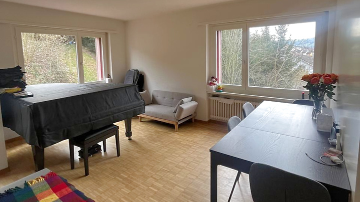 Appartement 4½ pièces à Malters (LU), meublé, durée déterminée