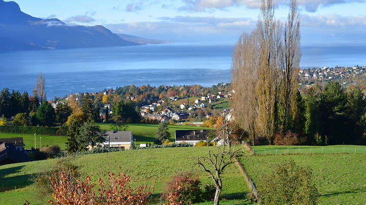 2½ room apartment in Brent (VD), furnished, temporary