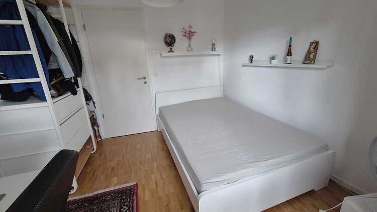 Picture 7