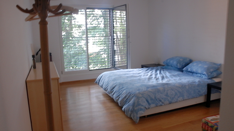 Picture 5