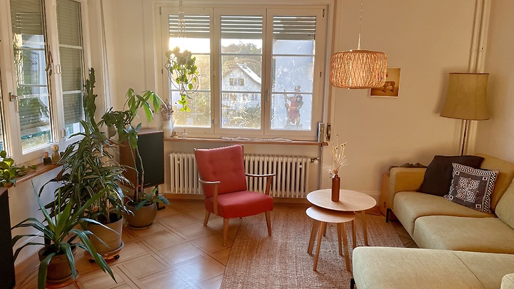 4 Zimmer-Wohnung in Luzern, möbliert, auf Zeit