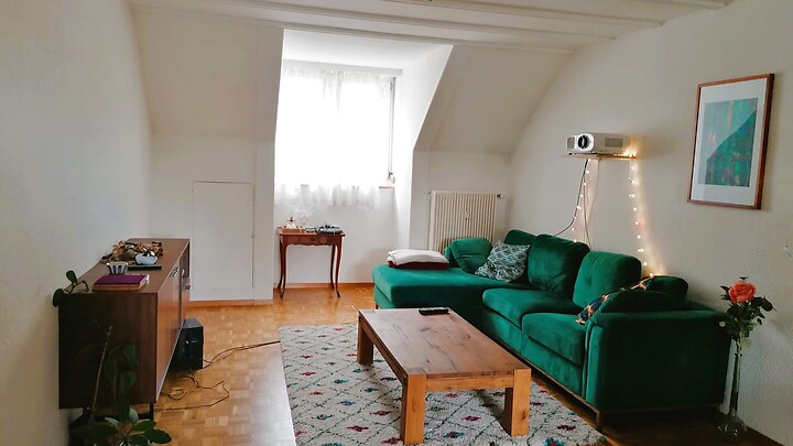2½ Zimmer-Wohnung in Bern - Felsenau/Tiefenau, möbliert, auf Zeit