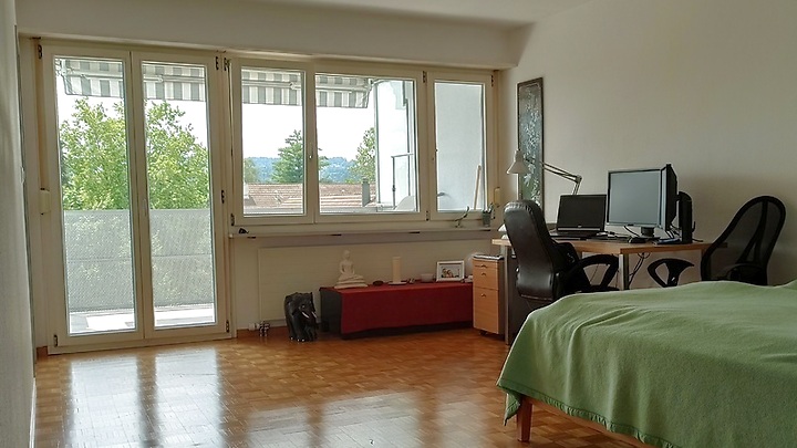 2½ room apartment in Schwerzenbach (ZH), furnished
