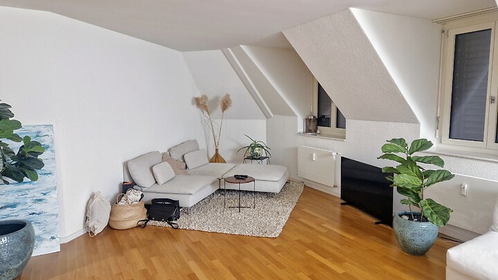 2½ room apartment in Luzern, furnished, temporary