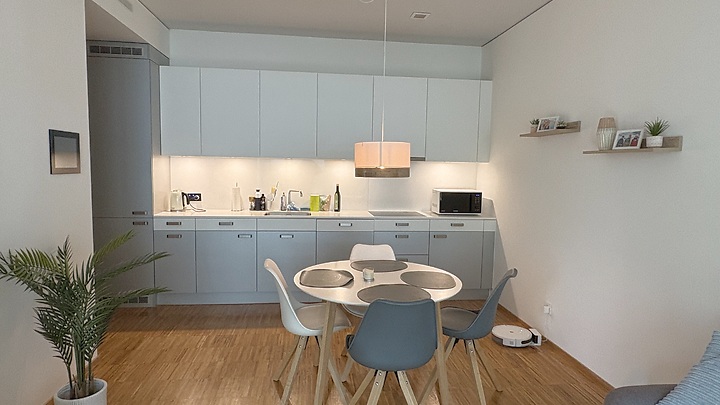 2½ Zimmer-Wohnung in Zürich - Kreis 9 Altstetten, möbliert, auf Zeit