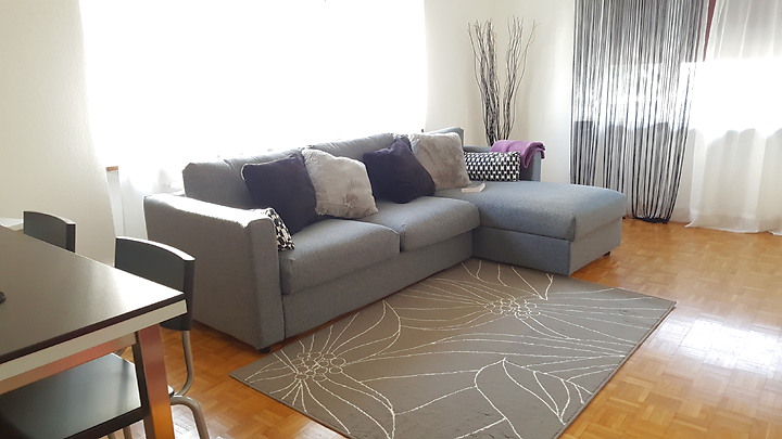 Appartement 2 pièces à Basel - Spalen, meublé, durée déterminée