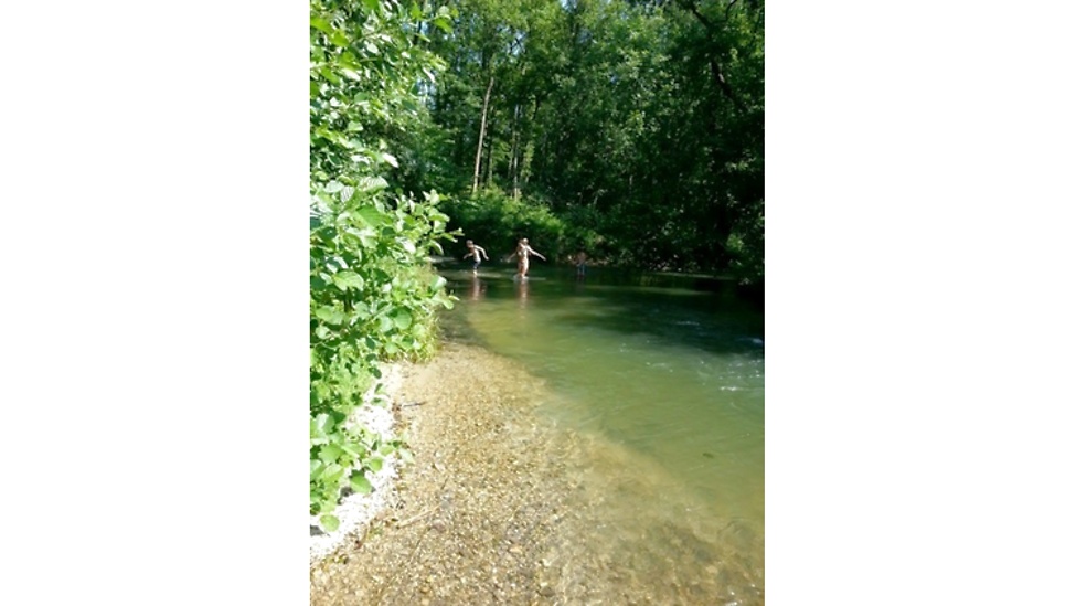 Picture 8