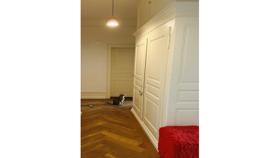 Picture 5