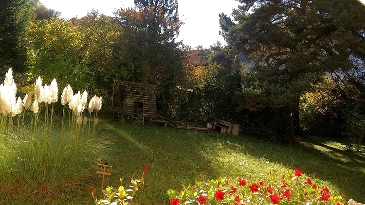 Picture 9