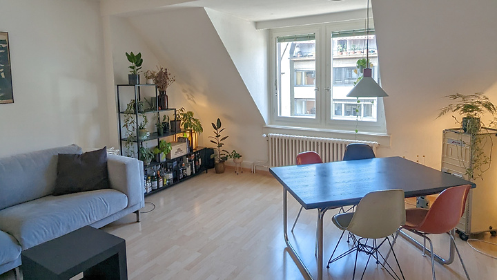 3½ room apartment in Zürich - Kreis 3 Wiedikon, furnished, temporary