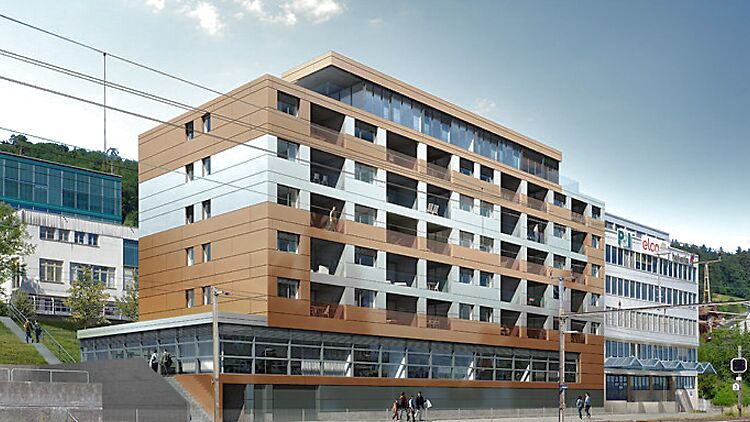 Bild 7