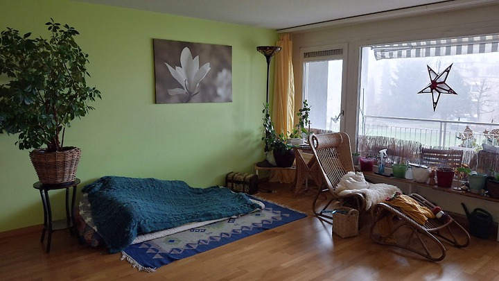 Appartement 2 pièces à Luzern, meublé, durée déterminée