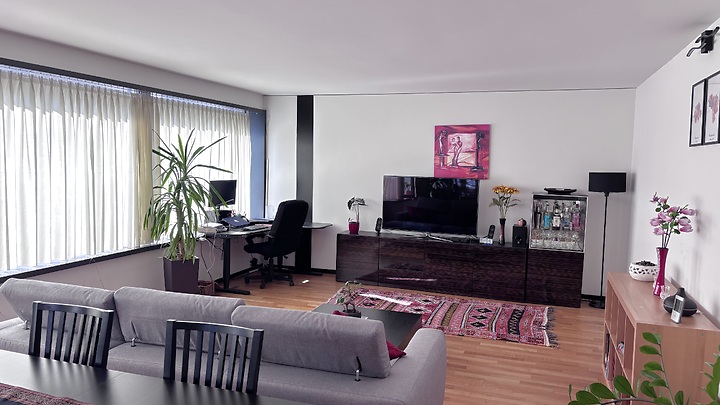 Appartement 2½ pièces à Zürich - Kreis 9 Albisrieden, meublé