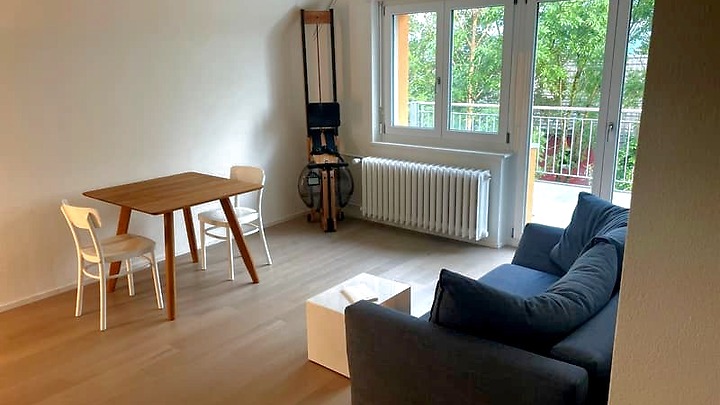 Appartement 3 pièces à Zürich - Kreis 10 Wipkingen, meublé, durée déterminée