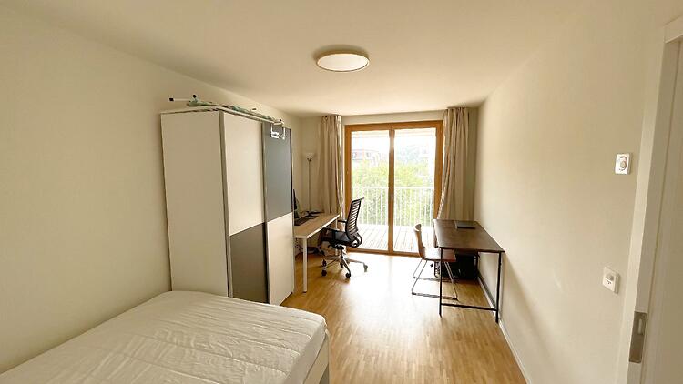 Picture 8
