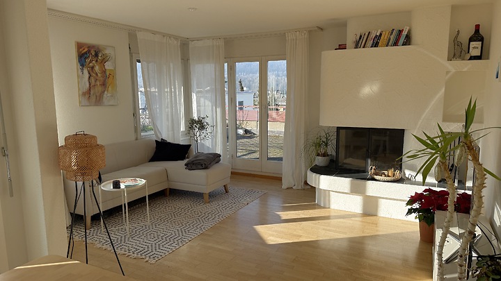 3½ Zimmer-Attikawohnung in Zürich - Kreis 2 Enge, möbliert, auf Zeit