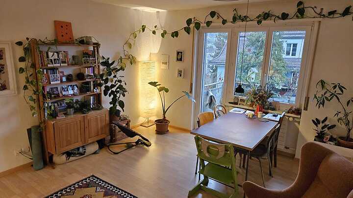 3 Zimmer-Wohnung in Zürich - Kreis 3 Binz, möbliert, auf Zeit