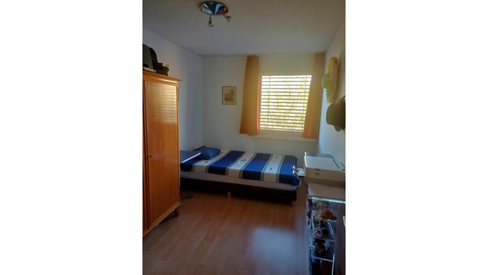 Picture 6