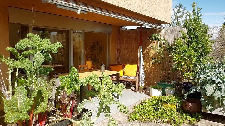 Appartement en attique 3½ pièces à Zürich - Kreis 9 Albisrieden, meublé, durée déterminée