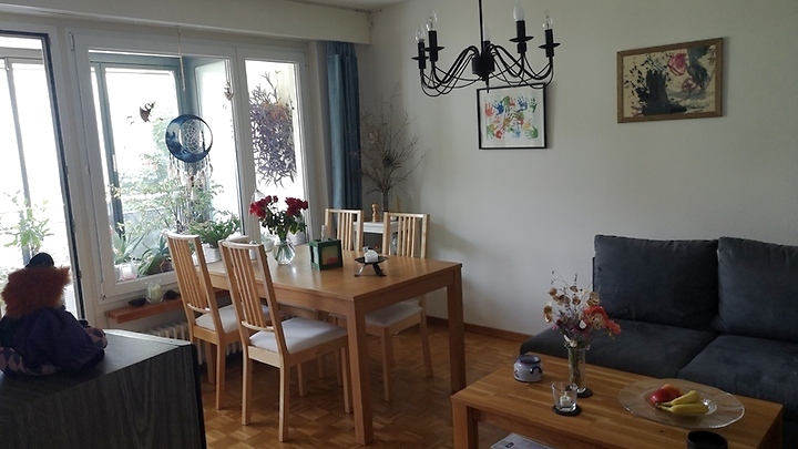 2½ room apartment in Luzern, furnished, temporary