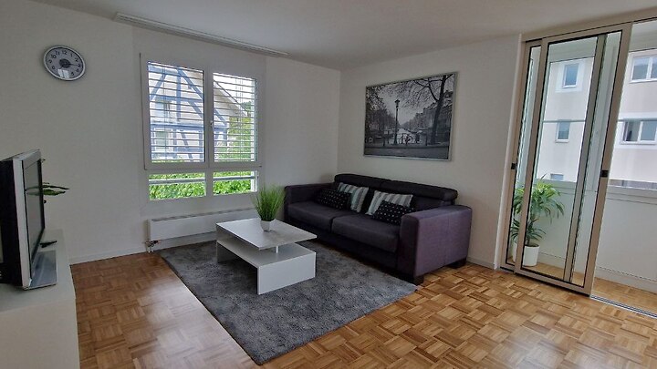 2½ Zimmer-Wohnung in Langwiesen (ZH), möbliert, auf Zeit