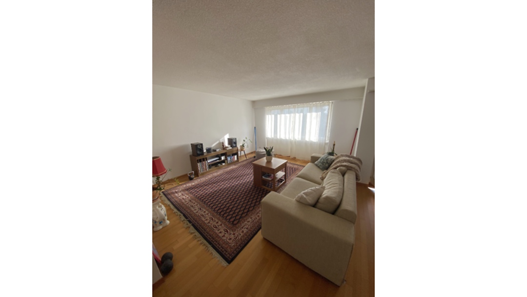 4½ room apartment in Wangen b. Olten (SO), furnished, temporary