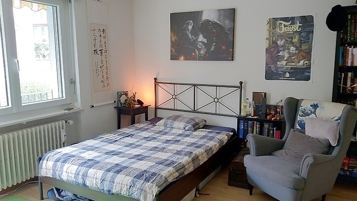 Appartement 1 pièce à Zürich - Kreis 10, meublé, durée déterminée