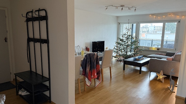 3 room apartment in Gossau (ZH), furnished, temporary