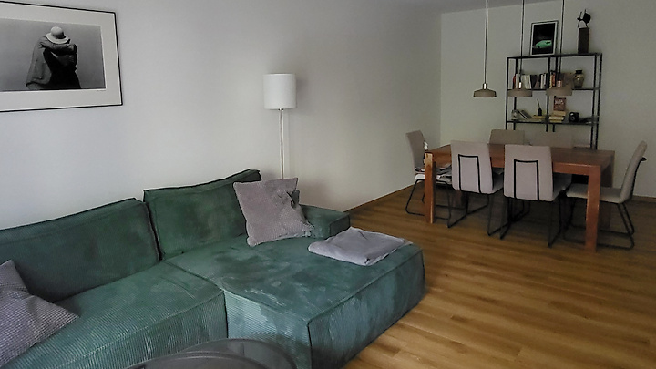 Appartement 2 pièces à Zürich - Kreis 3 Wiedikon, meublé, durée déterminée