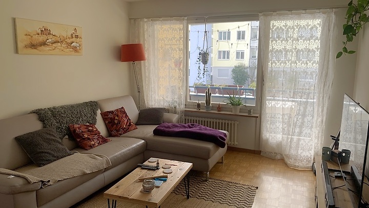 2½ Zimmer-Wohnung in Winterthur - Mattenbach, möbliert, auf Zeit