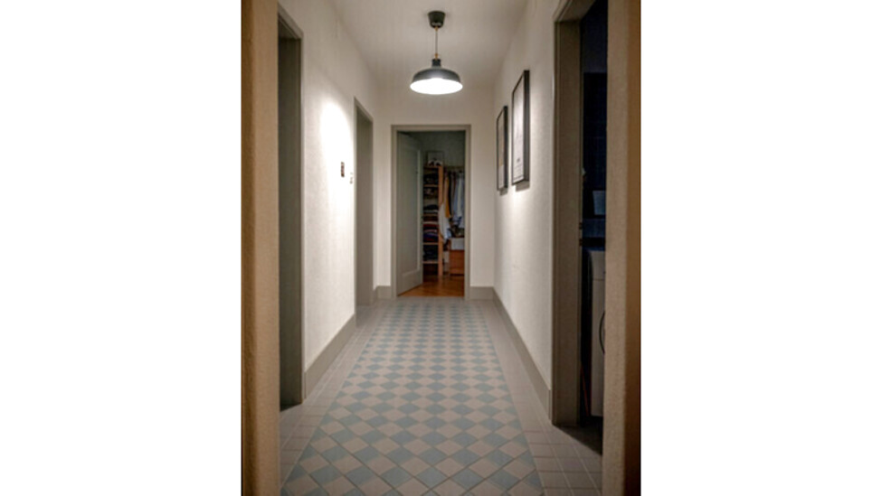 Picture 7