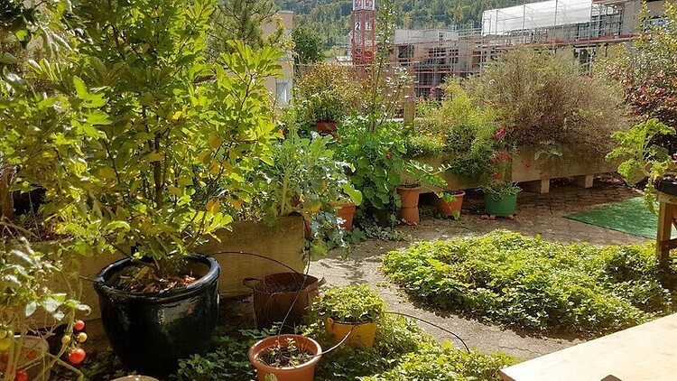 Bild 9