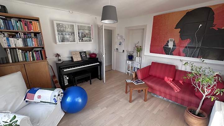 Appartement 2 pièces à Zürich - Kreis 8 Riesbach, meublé, durée déterminée