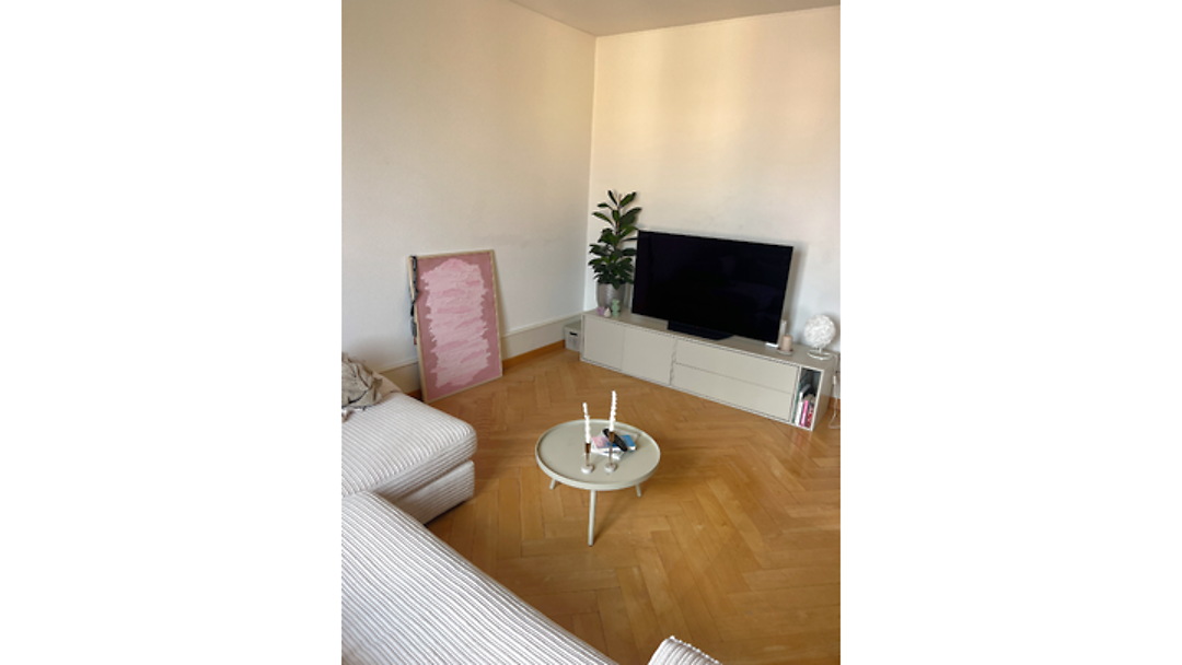 2½ Zimmer-Wohnung in Bern - Mattenhof, möbliert, auf Zeit