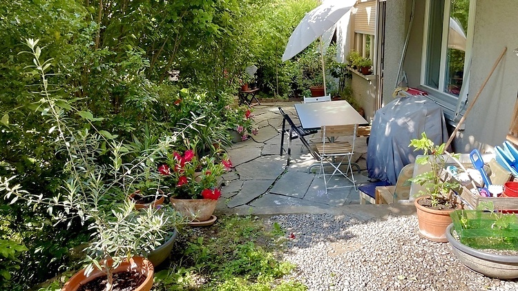 Bild 8