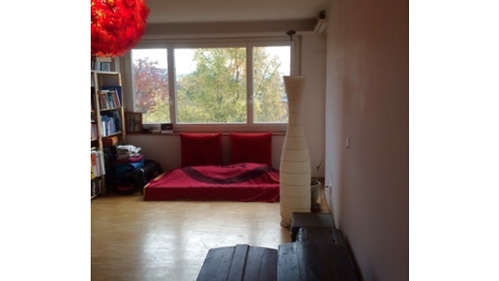 2½ Zimmer-Wohnung in Zürich - Kreis 3, möbliert, auf Zeit