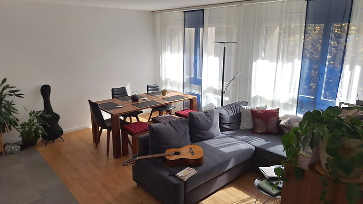 2½ Zimmer-Wohnung in Basel - Gundeldingen, möbliert, auf Zeit